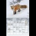 Jimmy's 2026 Cosmic Calendar - The 20th Anniversary North American Wildlife Edition