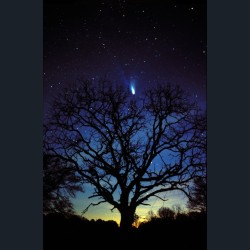 Comet Hale-Bopp Over Georgia #1
