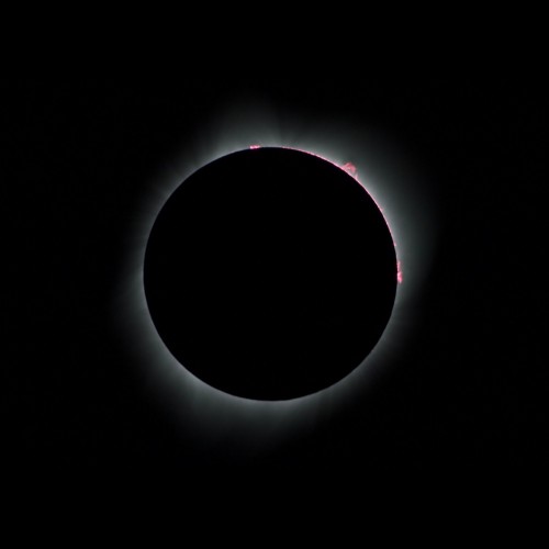 Prominences at 3rd Contact of Eclipse 2017