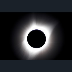 Solar Corona of Eclipse 2017