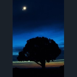 Venus and the Moon over Colorado National Monument (Tall) Venus and the Moon over Colorado National Monument (Tall)